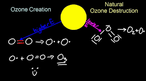 5 3 ozone sl ib chemistry you