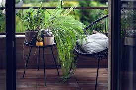 バルコニーをおしゃれに魅せる観葉植物 | コラム | 【クレガーレ】積水化学のバルコニータイルで楽しむマンションライフ
