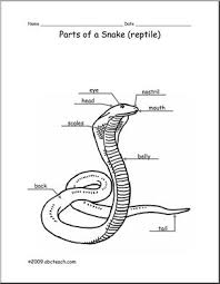 Animal Diagram Snake Labeled And Unlabeled Abcteach