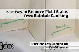 best way to remove mold stains from