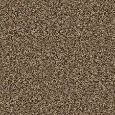carpet shaw contender fleck