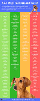 Infographic Which Human Foods Are Ok For Dogs And Which