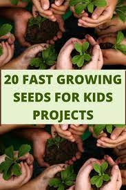 Science projects that show the different parts and phases of life of a plant require a plant that grows quickly. Fastest Growing Flower Seeds For Science Project Flowersandflowerthings Growing Seeds Kids Fast Growing Flowers Growing Seeds
