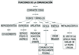 mapa conceptual sobre las funciones de