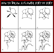 draw a flower step by step drawing guide