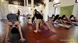 purple valley yoga yoga retreat