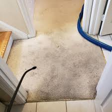 the best 10 carpet cleaning near