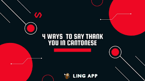 say thank you in cantonese
