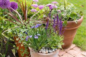 Container Gardening Recipes The