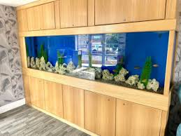 In Wall Aquarium Design Installation