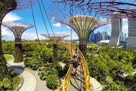 gardens by the bay