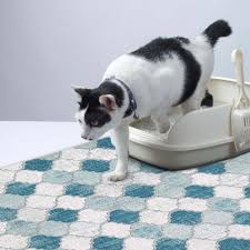 cat and dog litter mat for litter box