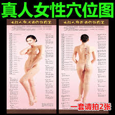 Buy Female Human Body Acupuncture Points Chart Acupuncture