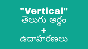 vertical meaning in telugu with