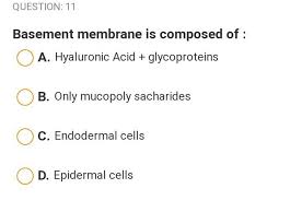Question 11 Basement Membrane Is