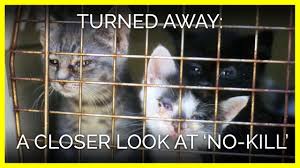 We the two be attentive to what the different guard will do, to no longer be gross, yet overcrowding = ineffective animals. Turned Away A Closer Look At No Kill Animal Shelters Peta