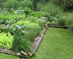 edging ideas to keep weeds and lawn
