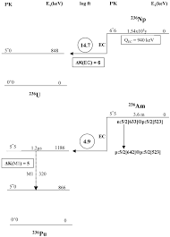 Partial Decay Schemes Of A 236
