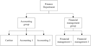 Financial Department Organizational Structure Download