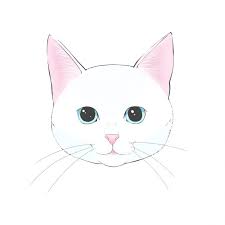 how to draw a cat 1 how to draw a