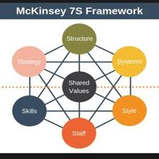 pdf the use of mckinsey s 7s framework