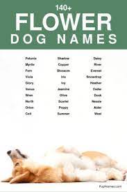 140 flower dog names meanings