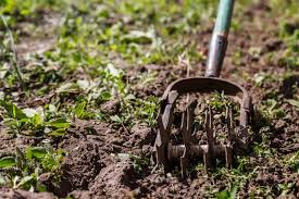 Star Hand Cultivator To Work The Soil