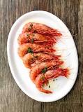 What is the best shrimp in the world?