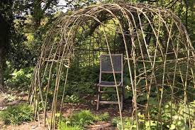 living willow structures