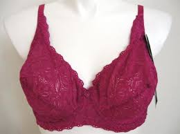 Details About Delta Burke Size 38c All Over Lace U W Bra In Medieval Mauve