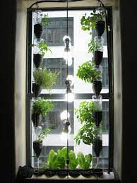 Window Garden Hydroponic Gardening