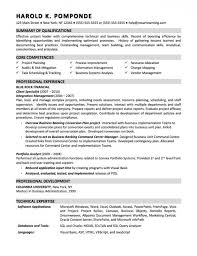 Business Systems Analyst Resume   ilivearticles info