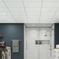 Whether installing a new drop ceiling or mounting the recessed lights in an existing ceiling. Ceilings