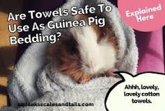Can I use towel as guinea pig bedding?