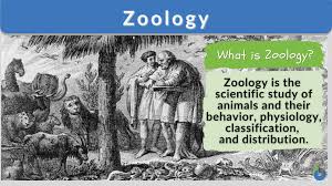 zoology definition and exles
