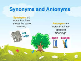 ppt synonyms and antonyms powerpoint