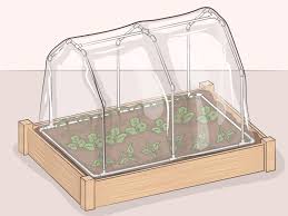 The actual picture shows that it holds only about 3 large plants. 3 Ways To Make A Mini Greenhouse Wikihow