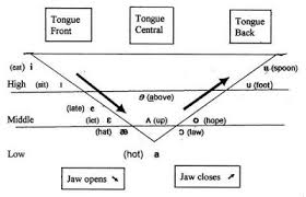 Tongue Trouble The Vowels An Overview