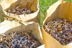 dispose of yard waste in the dfw area