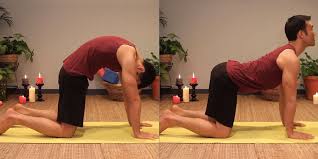 The aim is to keep moving and transition from cow to cat and back again smoothly for the duration of the exercise. Posture Of The Month Cat Cow Pose Your Pace Yoga