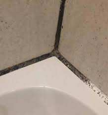 2 cleaning hack for bathroom mould
