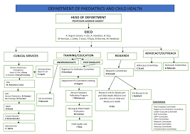 Organisational Structure Department Of Paediatrics And