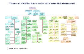 Organizational Chart Colville Tribes