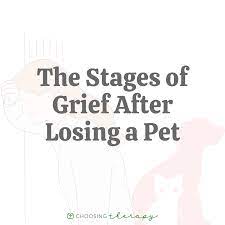 what are the ses of grief for pet loss