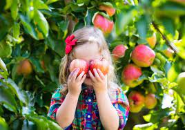 kids activities peoria il apple