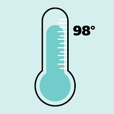 How To Chart Your Basal Body Temperature