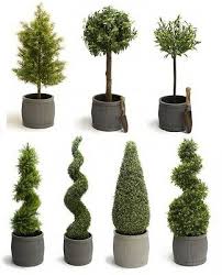 Luxury Artificial Topiary Trees Cypress