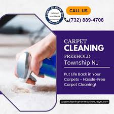 carpet cleaning freehold nj say