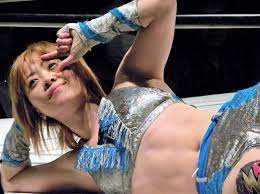 La Ayakita - Mayu Iwatani is the only non-WWE wrestler to made the PWI  Top-10 this year ! Io Shirai is 4, Aska 5 and Kairi Sane 10. Of course  there's some