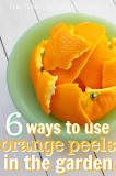 Are orange peels good for houseplants?
